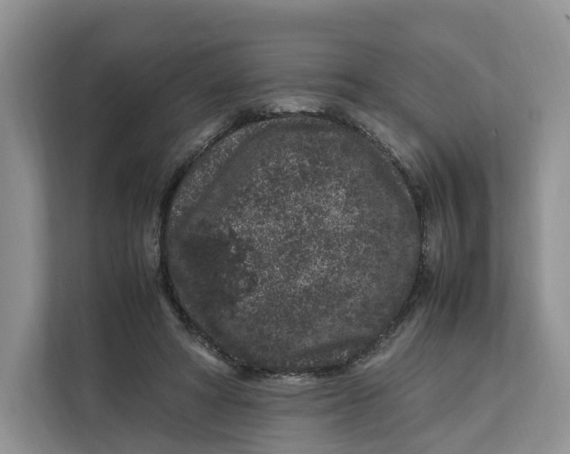 X0000112210402200908281504