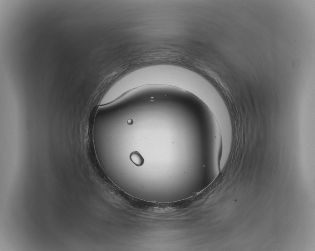 X0000112210403200908281504