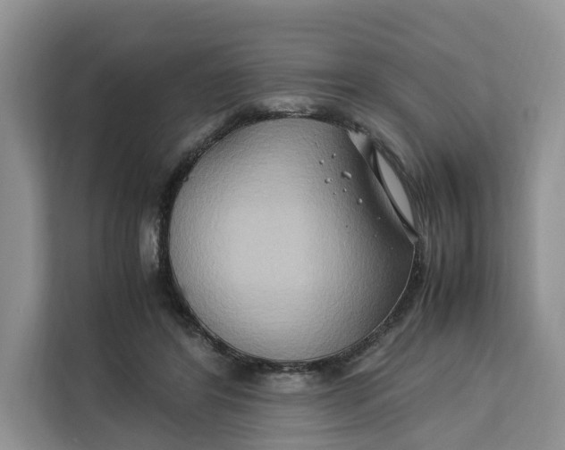 X0000112210404200908281504
