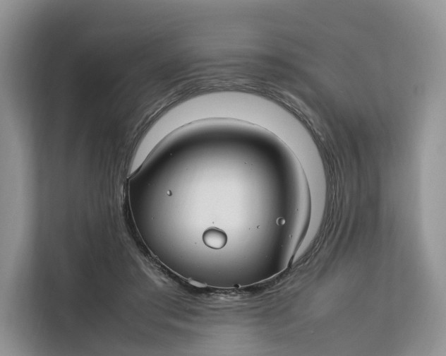 X0000112210405200908281504