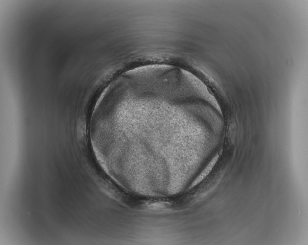 X0000112210407200908281504