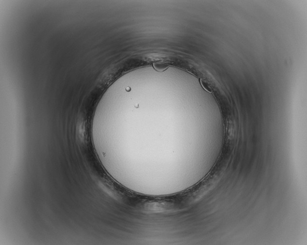 X0000112210408200908281504