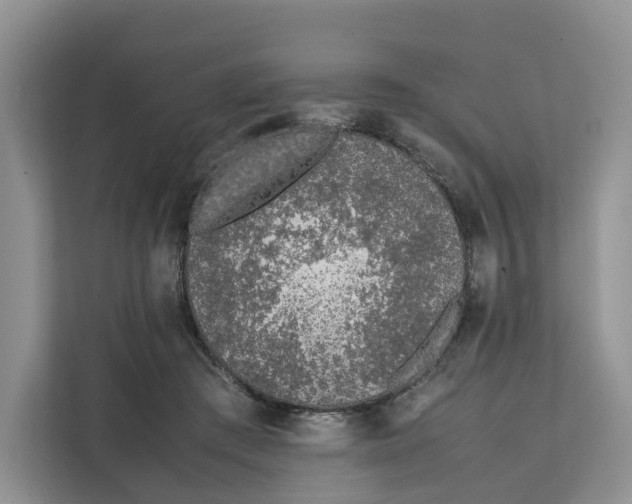 X0000112210409200908281504