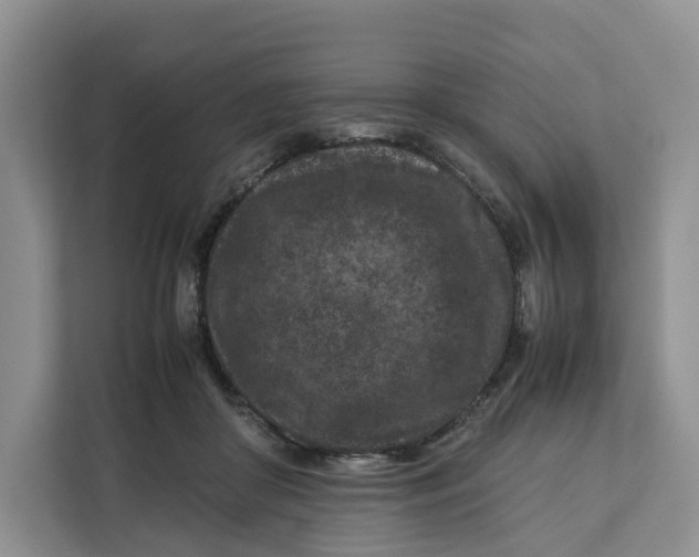 X0000112210410200908281504