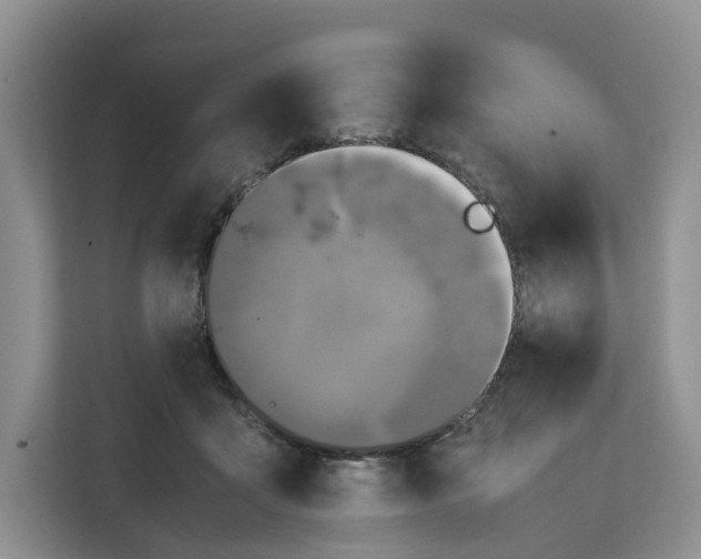 X0000112210411200908281504