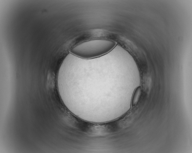 X0000112210413200908281504