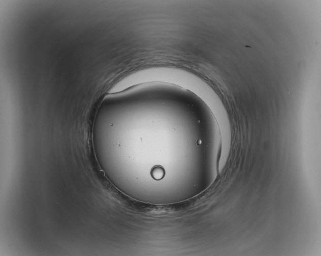 X0000112210415200908281504
