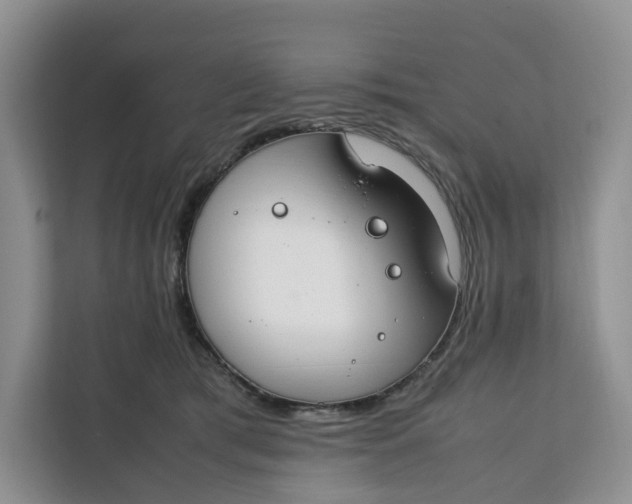 X0000112210417200908281504