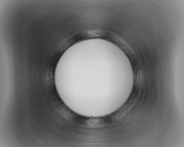 X0000112210418200908281504
