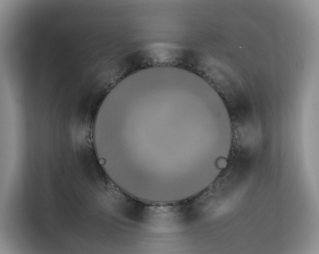 X0000112210419200908281504
