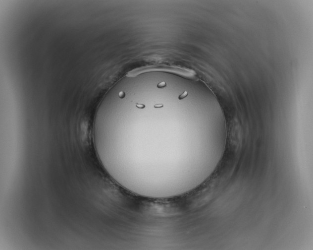 X0000112210420200908281504