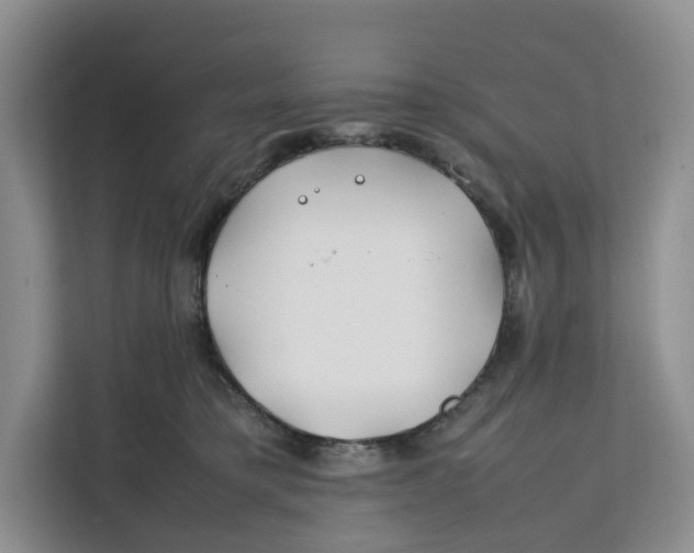 X0000112210421200908281504