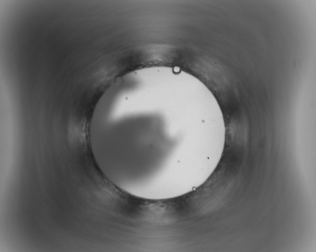 X0000112210423200908281504