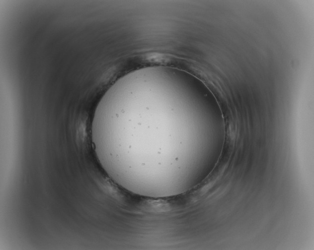X0000112210424200908281504