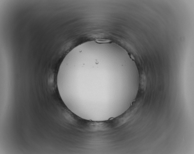 X0000112210428200908281503