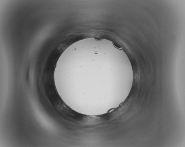 X0000112210429200908281503