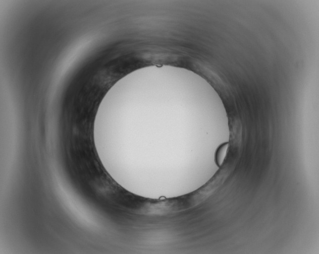 X0000112210430200908281503