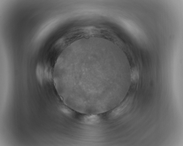 X0000112210431200908281503