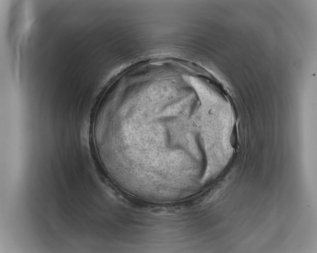 X0000112210434200908281503