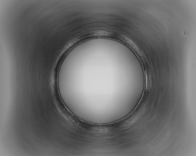 X0000112210435200908281503