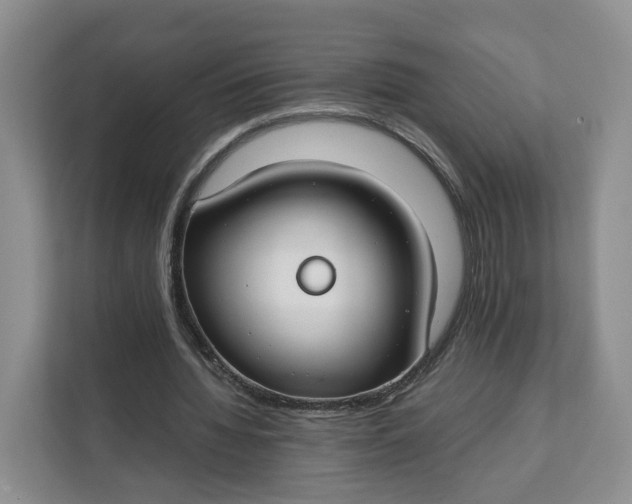 X0000112210436200908281503