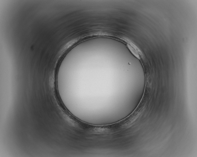 X0000112210437200908281503