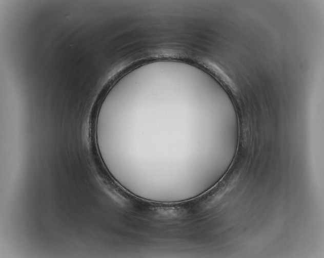 X0000112210439200908281503