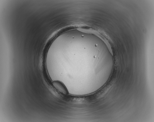 X0000112210440200908281503