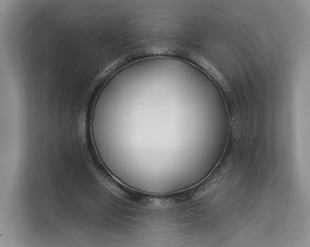 X0000112210442200908281503