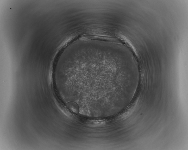 X0000112210443200908281503