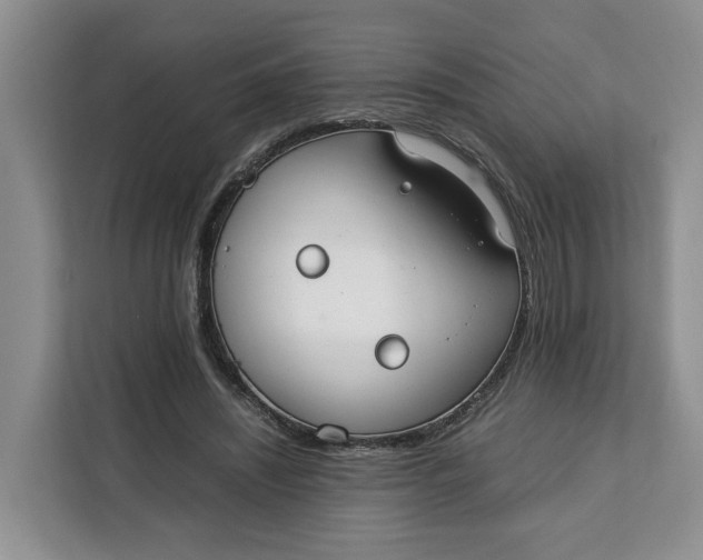 X0000112210444200908281503