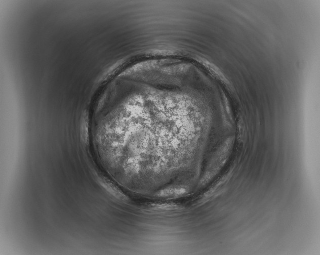 X0000112210446200908281503