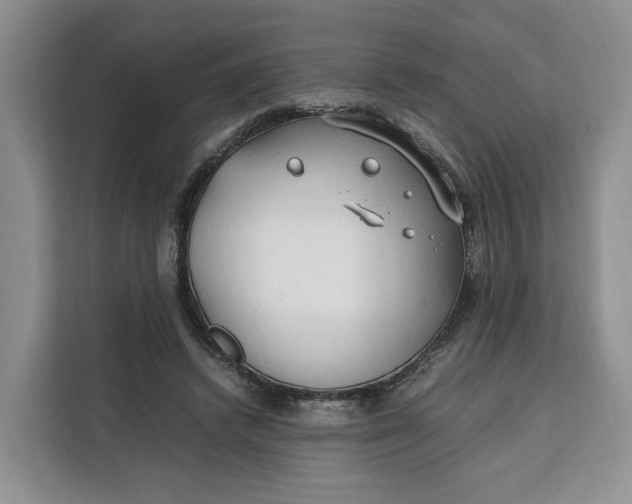 X0000112210448200908281503