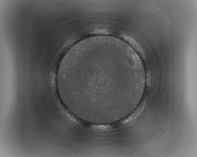X0000112210449200908281503