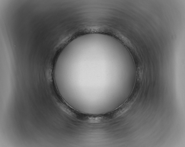 X0000112210450200908281503