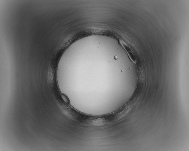 X0000112210456200908281503