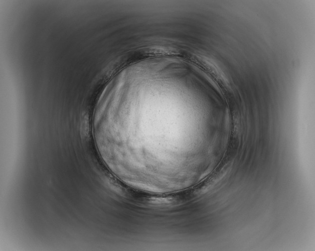 X0000112210457200908281503