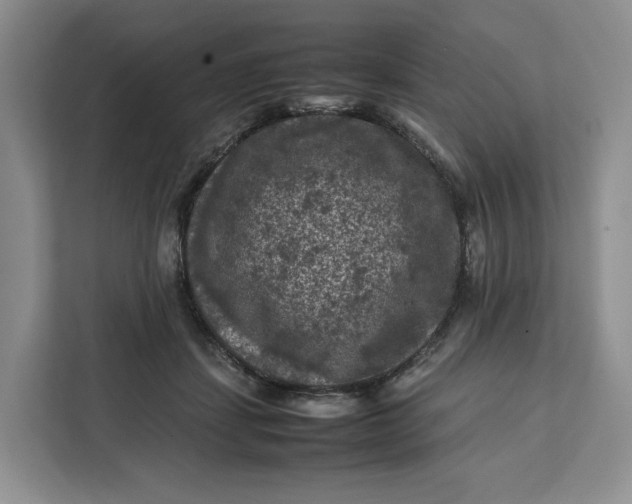 X0000112210459200908281503