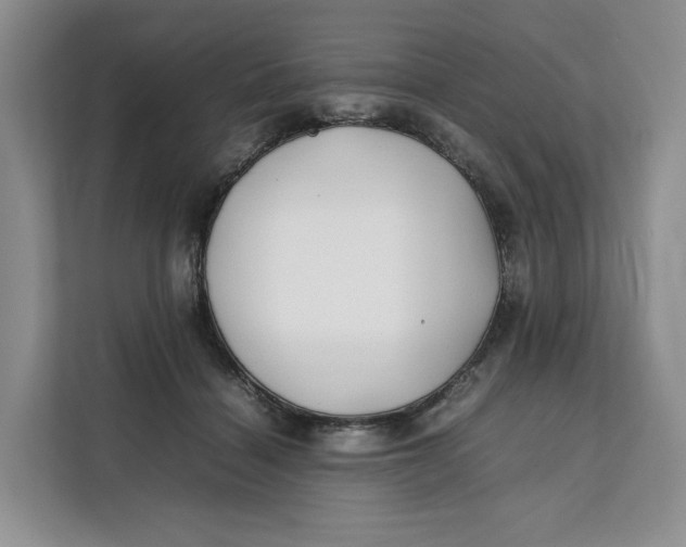X0000112210460200908281503