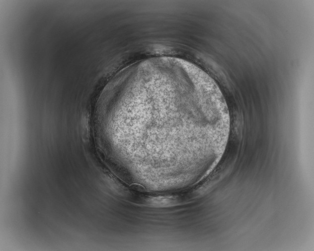 X0000112210461200908281503