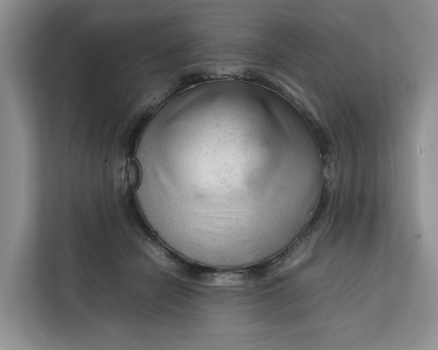 X0000112210462200908281503