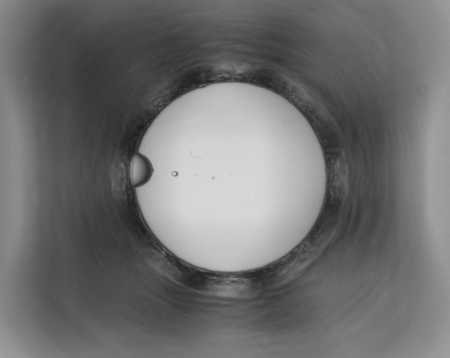 X0000112210463200908281503