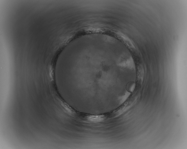 X0000112210465200908281503
