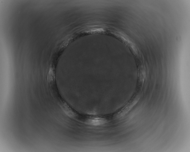 X0000112210467200908281503