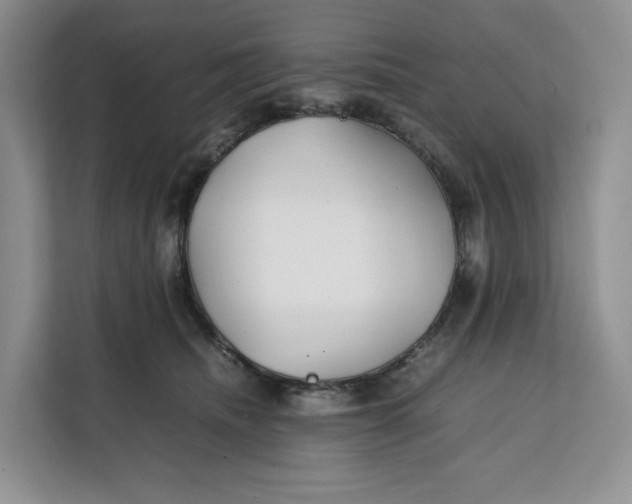 X0000112210468200908281503