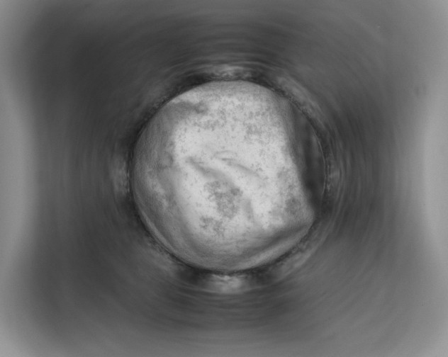 X0000112210469200908281503