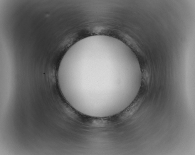 X0000112210470200908281503