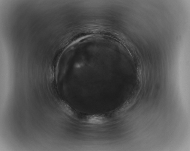 X0000112210471200908281503