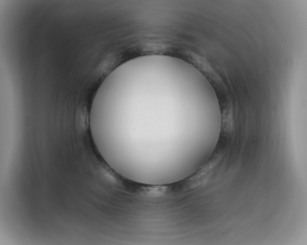 X0000112210474200908281503