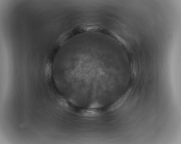 X0000112210475200908281503